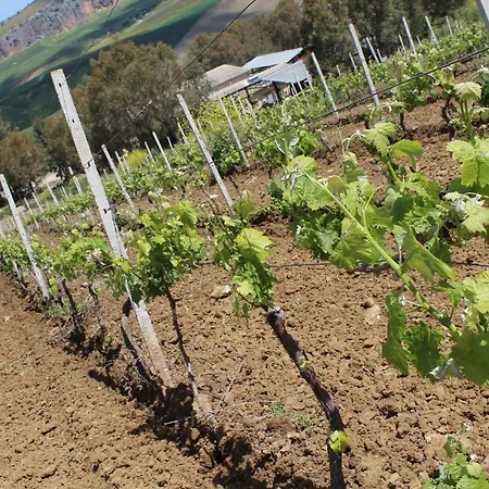 Ponte Calatrasi Alloggio per agriturismo *
