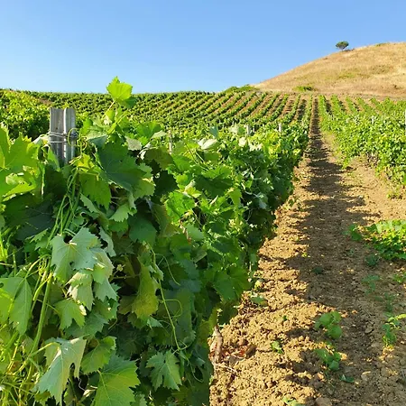 ファームステイ Ponte Calatrasi Roccamena